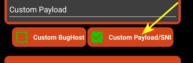 Chọn Custom Payload SNI